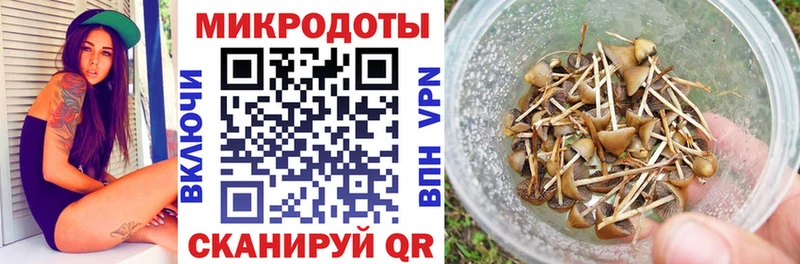 Галлюциногенные грибы ЛСД  закладки  OMG ONION  Салехард 